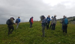 Spectators at Event