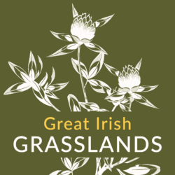 Great Irish Grasslands