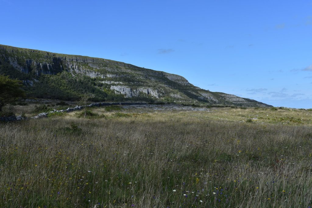 Slieve Carran Limestone Pavement and Grassland