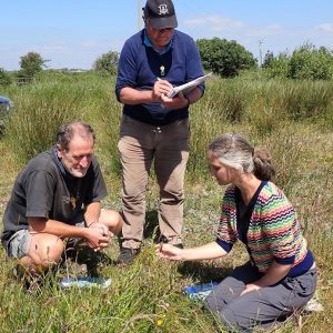 Three people looking closely at grasses in a field. one is taking notes