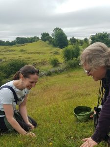 Two people are looking at a Fragrant orchid in a sloping field