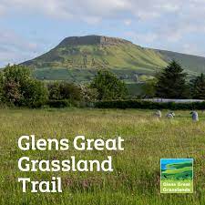 Glen's Great Grassland Trail