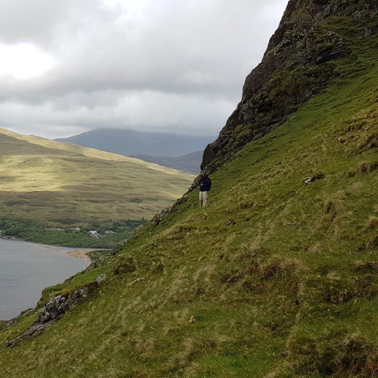 Learn More About Grasslands Great Irish Grasslands