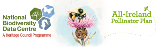 All Ireland Pollinator Plan