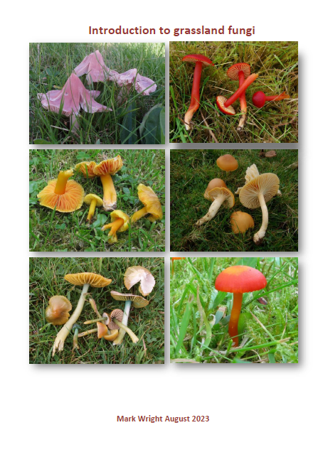 Introduction to Grassland Fungi