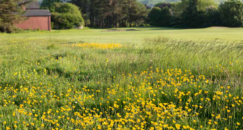 Ballycastle Golf Course