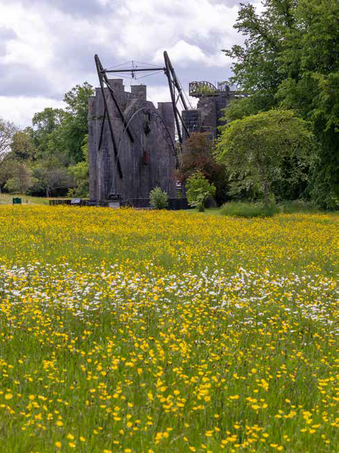 Birr Castle Demesne