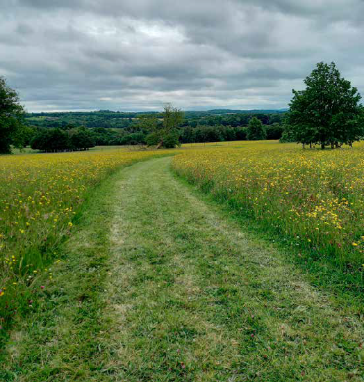 Doneraile Estate