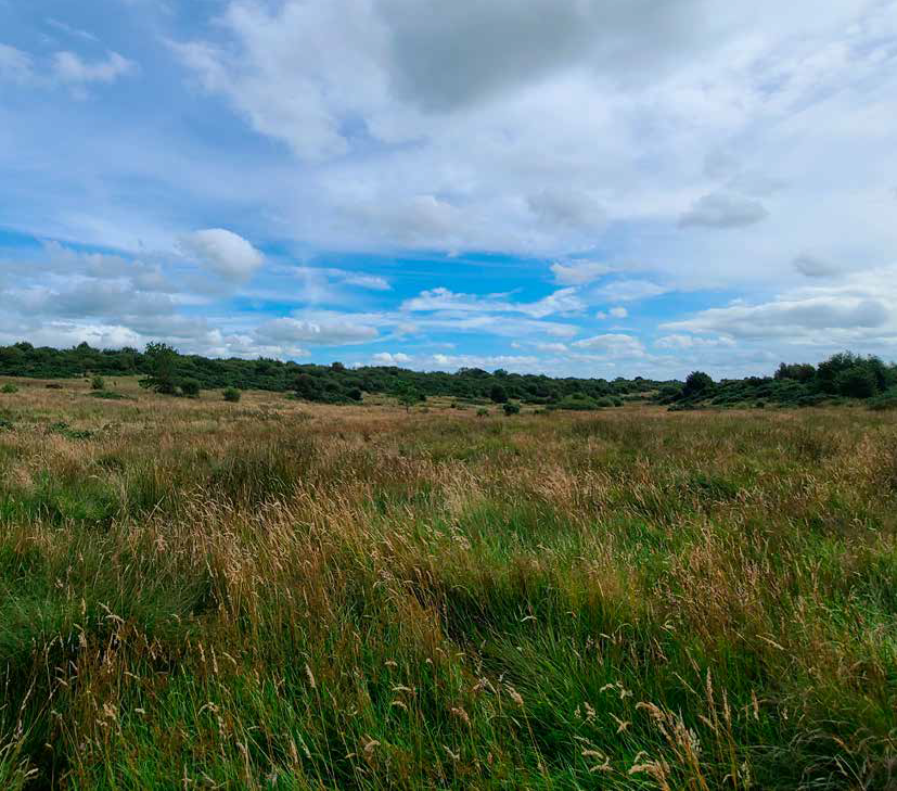 Drumnaph Nature Reserve