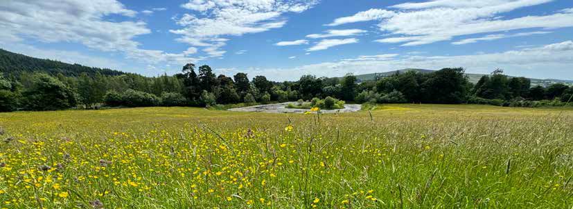 Kilranelagh Lodge Country House and Farm
