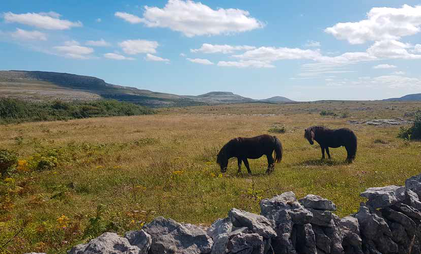 Slieve Carran / Keelhilla Nature Reserve
