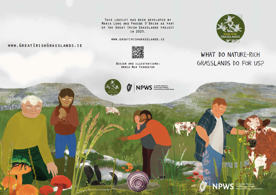 What do nature-rich grasslands do for us - leaflet