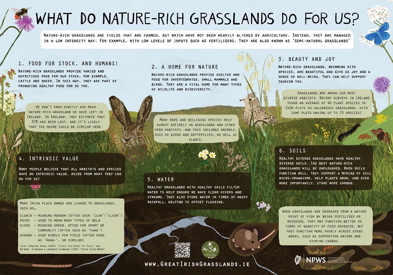 What do nature-rich grasslands do for us - poster