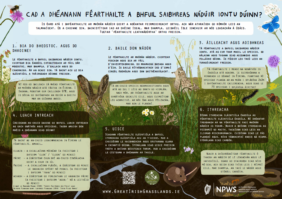 Cad a dhéanann féarthailte a bhfuil saibhreas nádúir iontu dúinn? - Póstaer